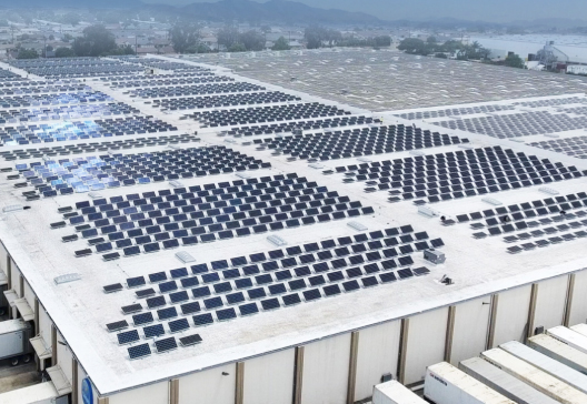 Weninar Impacto de la Generación Distribuida en los Sistemas de Distribución