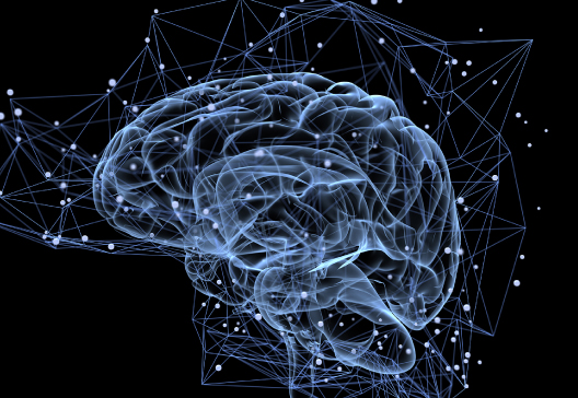 Webinar Clasificación de Imágenes con Tensorflow y Python