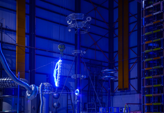 Curso de Especialización Coordinación de Aislamiento