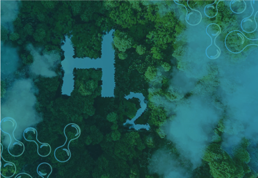 Programa de Especialización Tecnologías del Hidrógeno